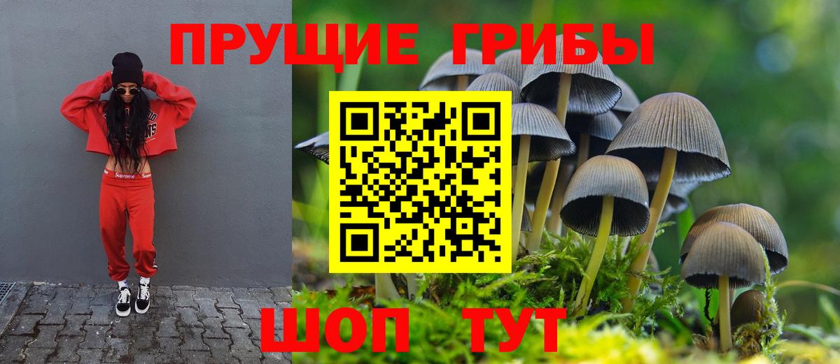 Галлюциногенные грибы Cubensis Нижневартовск